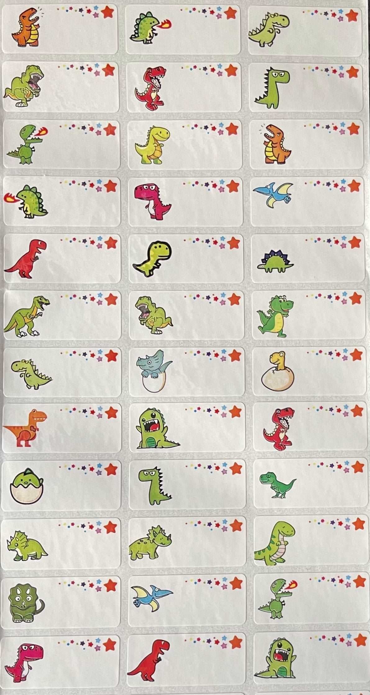 Dinosaur 2 - Medium Name Labels (30x13mm)